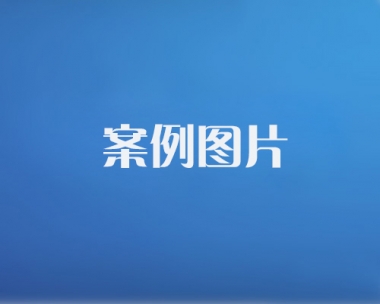 案例概况