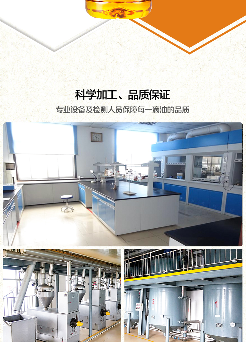 4L典范玉米油概况_08.jpg